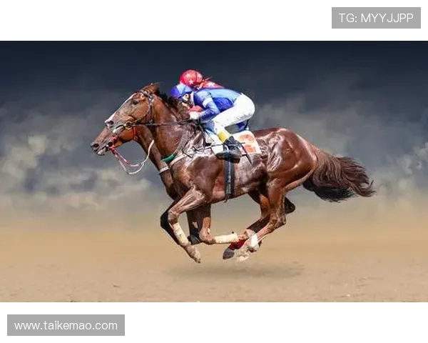 一赛马资讯澳门赛马赛事历史回顾,回顾经典比赛瞬间与传奇马匹的辉煌表现 一赛马资讯澳门赛马赛事历史回顾,回顾经典比赛瞬间与传奇马匹的辉煌表现