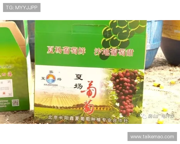 京葡萄官网app功能介绍与使用技巧，助您轻松选购优质葡萄产品