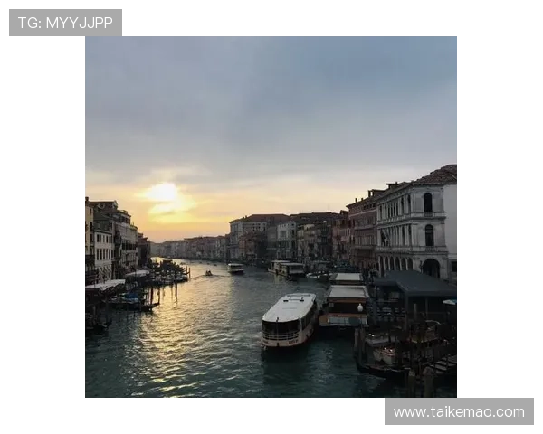 威尼斯网址查询：快速找到威尼斯官方旅游信息和最新活动公告