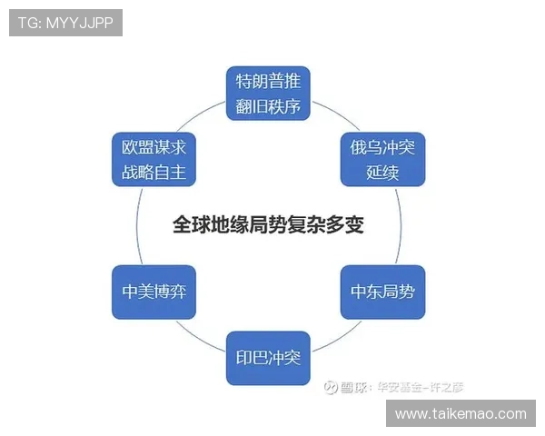 新濠国际发展：在全球经济变局中稳步推进国际市场扩展的战略思考