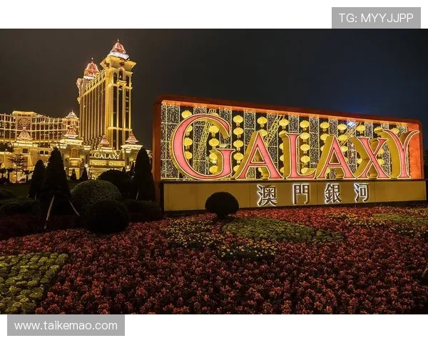 澳门娱乐体验：探索澳门特色娱乐项目带来的新奇与刺激感受