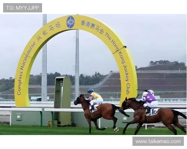 hkjc体育:提升香港赛马会体育竞猜成功率的实用技巧与专家建议