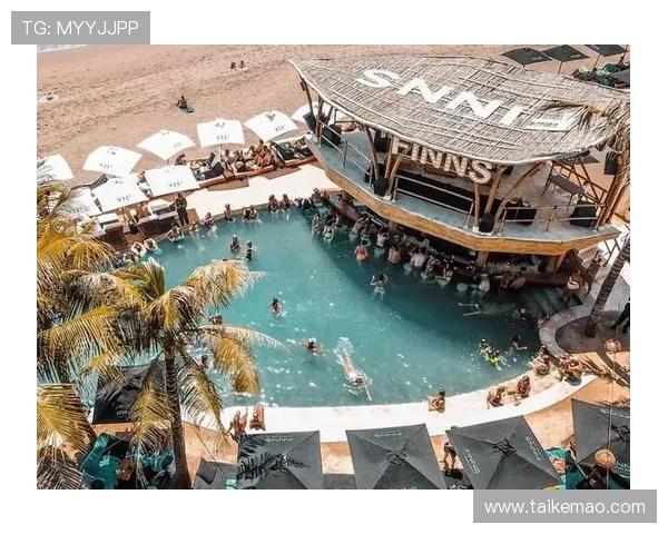 海岛娱乐场的用户评价与真实体验分享帮助你做出最优选择