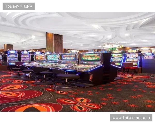 澳门娱乐场所最佳选择：适合不同预算和偏好的赌场、娱乐和休闲场所推荐