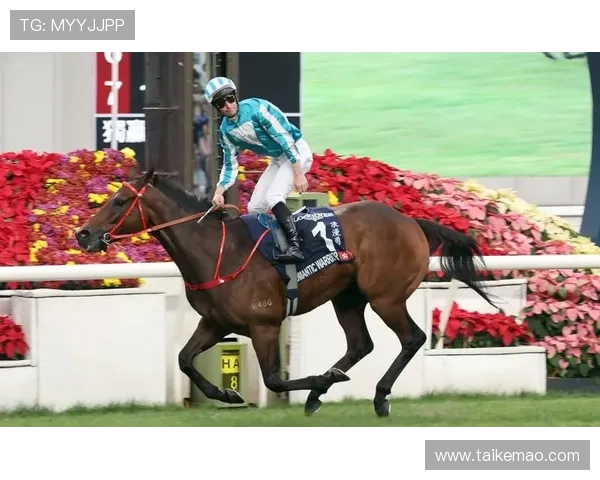 赛马会集团娱乐平台带你体验最全面的线上博彩娱乐新体验,享受高额奖金和安全保障 赛马会集团娱乐平台带你体验最全面的线上博彩娱乐新体验,享受高额奖金和安全保障